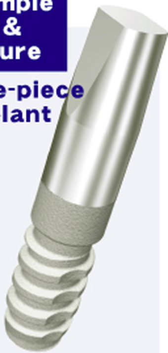 One Piece main image