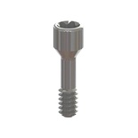 Parafuso oclusal com parafuso