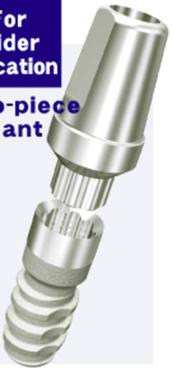 Two Piece main image