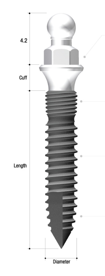 Mini Plus main image