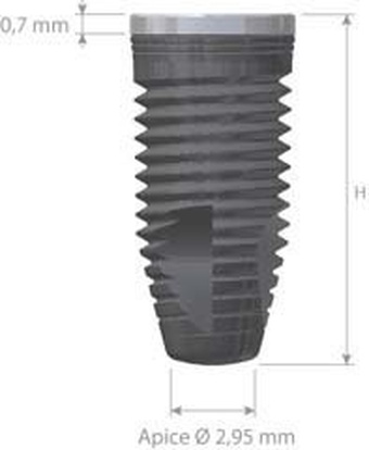 Korum Internal main image