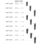 Nodrill Expander image 1