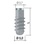 Bone System Bone System main image