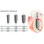 C-Tech Implant Bone Level image 1