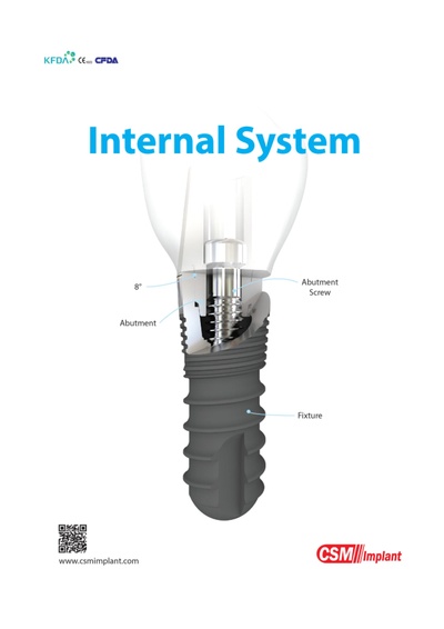 csm_internal.pdf