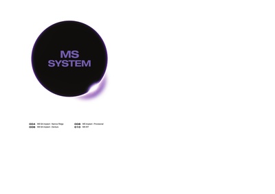 MS.pdf