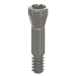Prosthetic screw