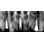 BioHorizons Internal image 40