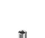 Abutmentschraube