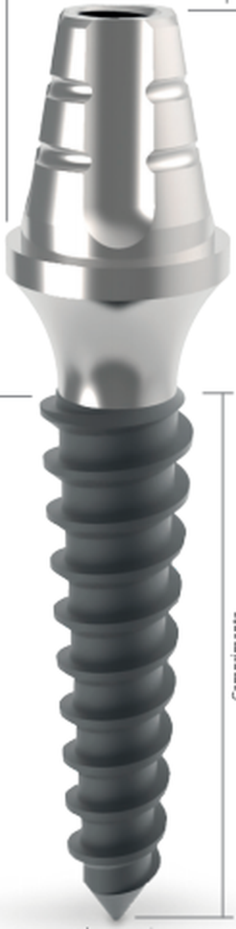 Slim Pilar main image