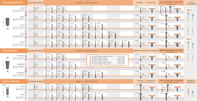 dental_sp.pdf