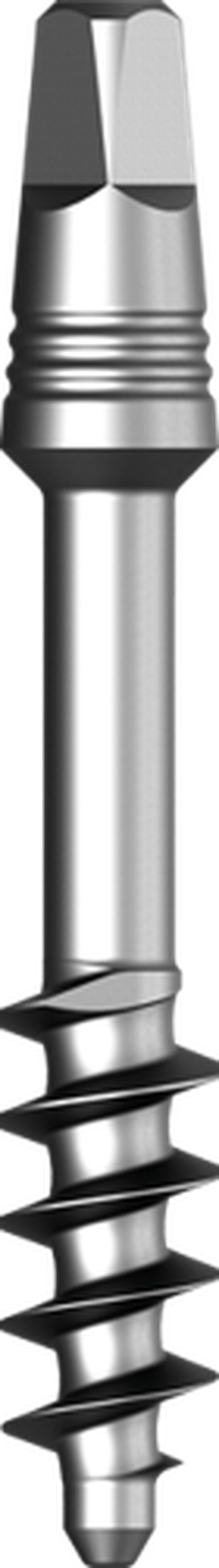 BCS (Small Head) main image