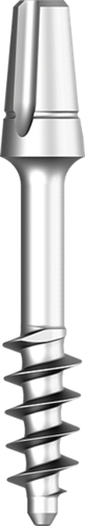 BCS (Large Head) main image