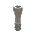 Parafuso oclusal