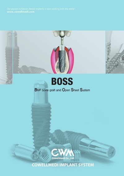 12_BOSS_web.pdf