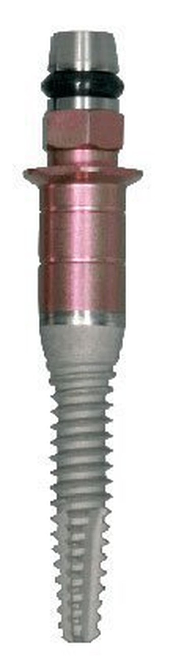 Externa (Flared Head) main image