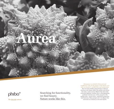 CATAUR2015EN_rev001_20150216_low.pdf