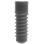 Trausim BL image 2