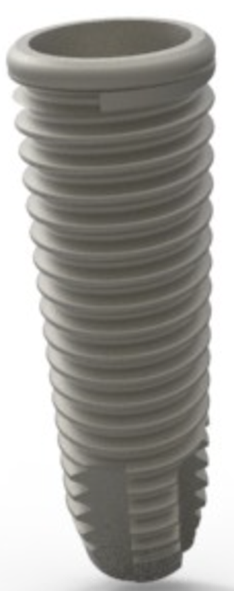 TRI-SHORE main image