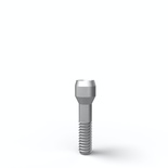 Prosthetic screw with screw