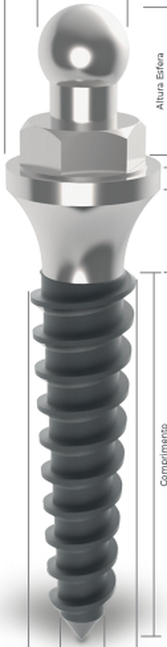 Slim Bola main image