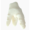 Bioimplant Anatomic Ceramic Molar main image