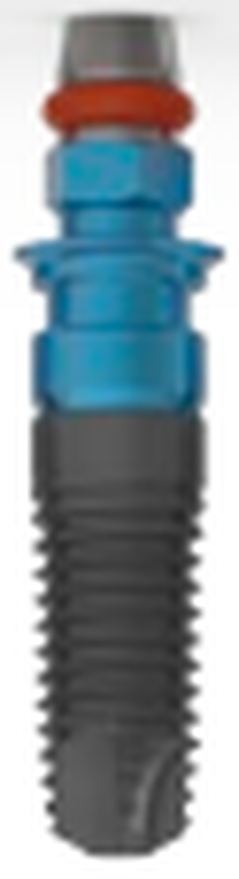 Universal Interna main image