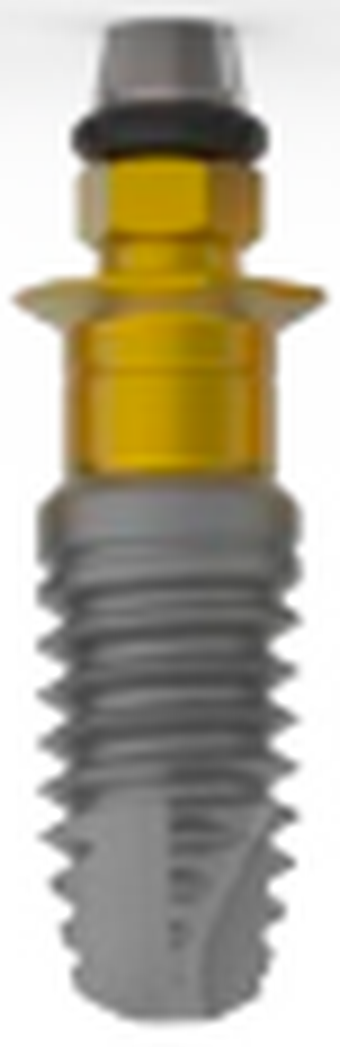 Universal Plus Externa main image