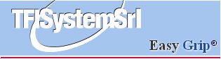 TFI System logo