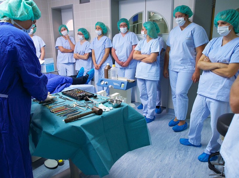 medical-instinct.jpeg