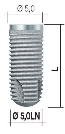 Bone SystemLN main image