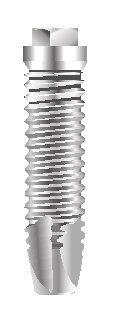 Master Screw/Porous main image