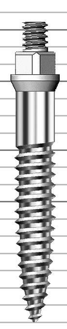 Anew main image