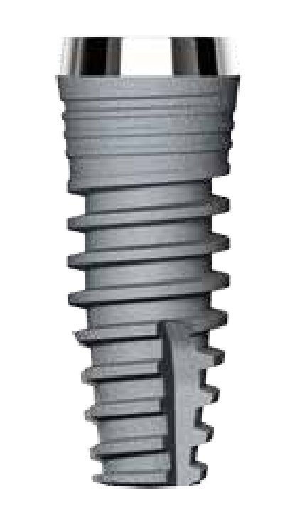 Denti Root (DR) main image
