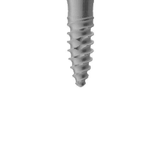 Dentium SlimLine II Dental Implant | SpotImplant