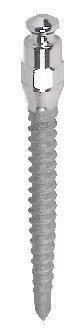 Ergon- mini implant main image