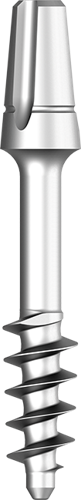 BCS (Large Head) main image