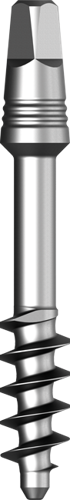 BCS (Small Head) main image