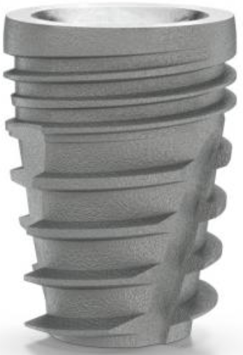 Denti Kone Short (DKS) main image