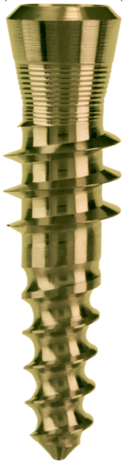 TPG main image