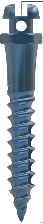 DSQ CR main image