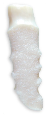Anatomic Ceramic main image