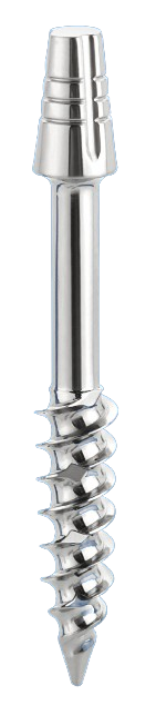 Esas main image