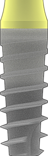 Prama RF SL main image