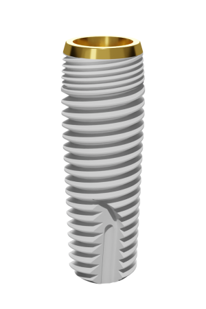 P1D (New version) main image