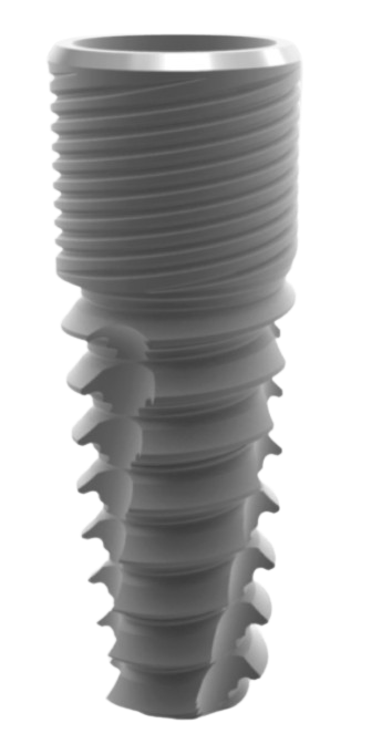 Conical Evolution main image