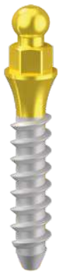 MS main image