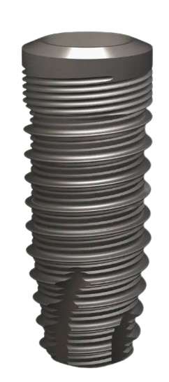 BNX EVO main image