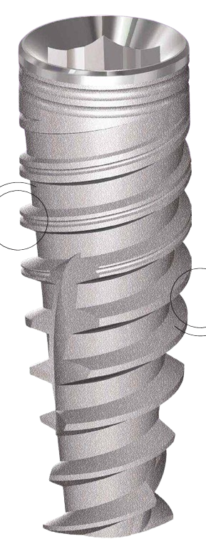ACTIVE main image