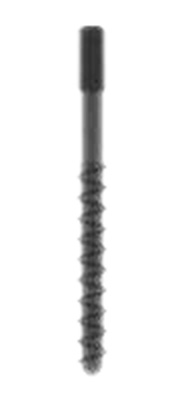 s.r.l. main image